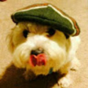 Meet your Posher, Bryan